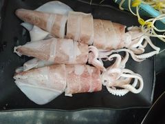 -肥龙火锅(南坪店)