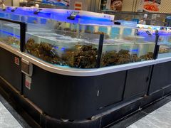 -同庆楼(滨湖万达广场店)