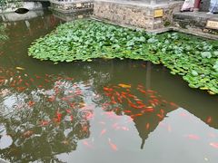 -华清宫景区