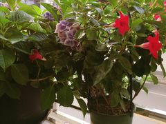 -仙雨林·奶茶鲜果茶(书院巷店)