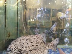 -新兴家喻酒家·羊城名宴(昌岗店)