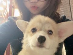 -柯斗斗主题餐厅·狗咖·围炉煮茶·茶饮(国瑞升平里店)