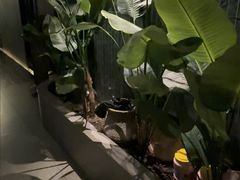 -涟LIAN·泰式按摩·MASSAGE·SPA(华强北店)