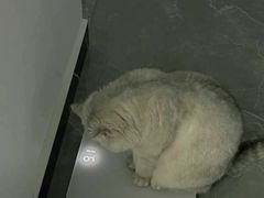 -美联众合动物医院·24h转诊中心