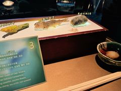-地球美食剧场
