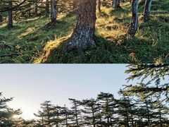 -秦岭风景区