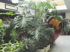 -楚畹园