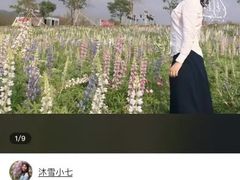 -天适樱花悠乐园