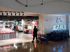 -盒马鲜生(帝斯曼店)