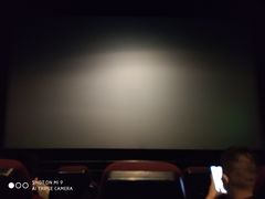 -嘉华国际影城(学清路店)