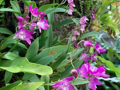 -国家植物园南园