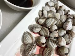 血蛤-华盛丰温州大排档(东三环南路店)