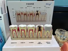 -蒙恩齿科(福田金中環店)