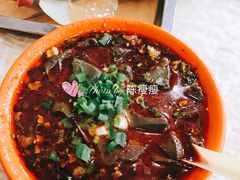 煮鸭血-屈礼洪