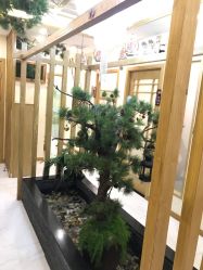 -芳朵美容养生SPA