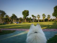 -桃园农庄·桃源宴