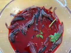 -品鲜村农家菜·阳澄湖大闸蟹(总店)