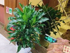 -徐州中汇国际会议酒店(矿大文昌校区地铁站店)