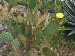 -Club Med地中海俱乐部·桂林度假村