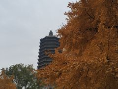 -玲珑塔公园