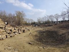-莫子山公园