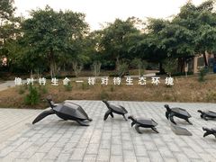-广东惠东海龟国家级自然保护区