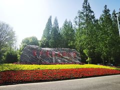 -东平国家森林公园