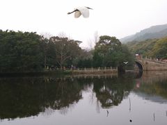 -普陀山风景名胜区-法雨禅寺