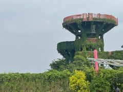 -芒洲湿地公园