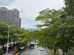 -笨罗卜浏阳菜馆(龙华鹏润达店)