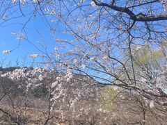-何适山庄·团餐住宿(水长城P2停车场店)
