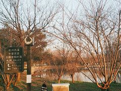 -西溪国家湿地公园