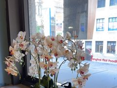 -新雅粤菜馆(南京东路店)