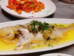 -老绍兴养和饭店(向阳不夜城店)
