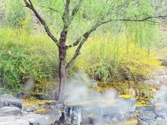 -北京西山国家森林公园