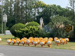 -上海长兴岛郊野公园