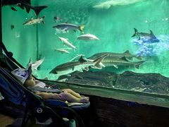 -太平洋海底世界