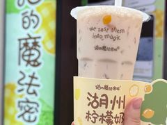 柠檬奶-猫的魔法密林(衣裳街店)