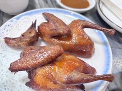 -鸽鸟轩(石岐店)