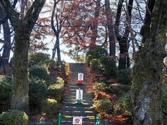 -名古屋城