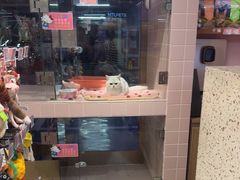 -FAELING PETS美天灵宠物(富力广场店)