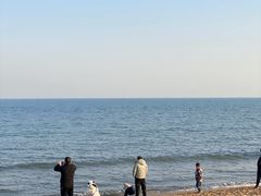 -巧克力渔家.小船海鲜胶东菜(万平口店)