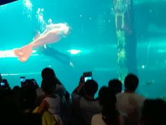 -洛阳龙门海洋馆