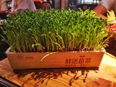 -湊湊火锅·茶憩(杭州湖滨银泰in77店)