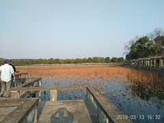 -上海市保健医疗中心(华东疗养院)