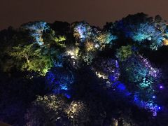 景点-飞凤山奥体公园