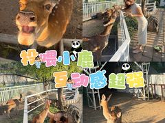 -丽泽山庄·生态怀柔菜·虹鳟鱼(红螺寺店)
