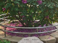 -太阳宫公园