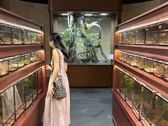 -帕帕拉兹宠物(亚洲旗舰店)