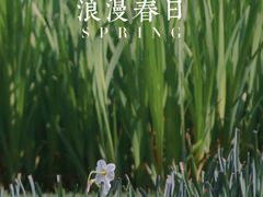 -上海辰山植物园